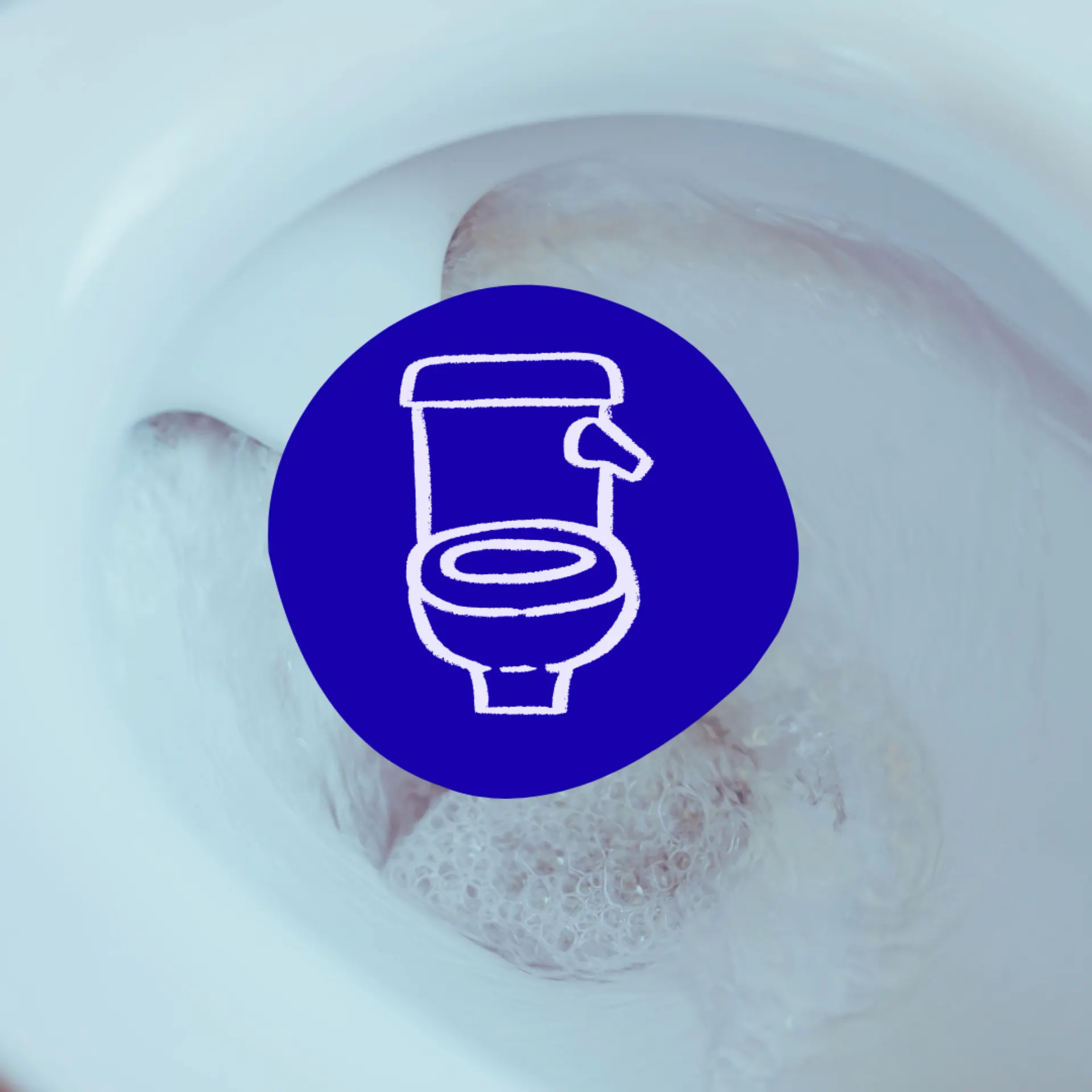 wc bouchés canalize le havre